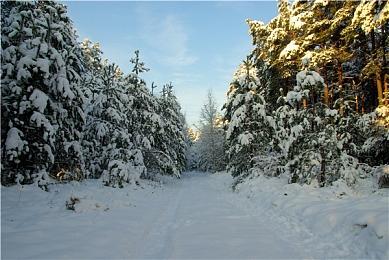 黑暗且坚韧的回合制策略RPG游戏《Blackguards 2》在任天堂Switch上发布