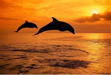 店铺管理模拟游戏《Stock the Shelves》Steam页面开放 年内发售